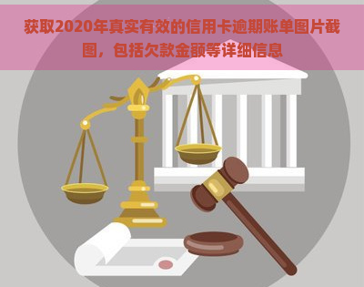 获取2020年真实有效的信用卡逾期账单图片截图，包括欠款金额等详细信息