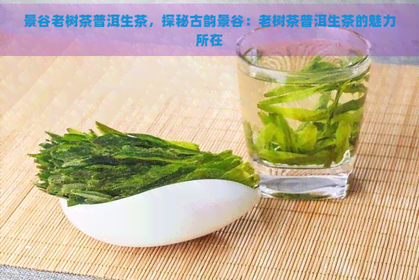 景谷老树茶普洱生茶，探秘古韵景谷：老树茶普洱生茶的魅力所在