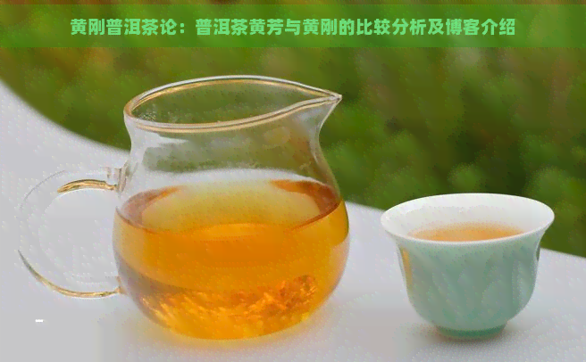 黄刚普洱茶论：普洱茶黄芳与黄刚的比较分析及博客介绍