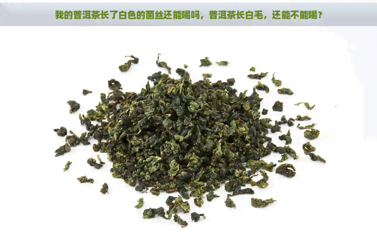 我的普洱茶长了白色的菌丝还能喝吗，普洱茶长白毛，还能不能喝？