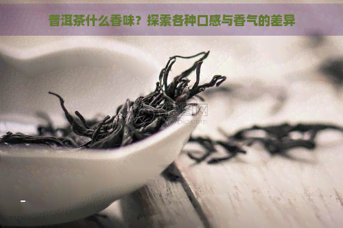 普洱茶什么香味？探索各种口感与香气的差异