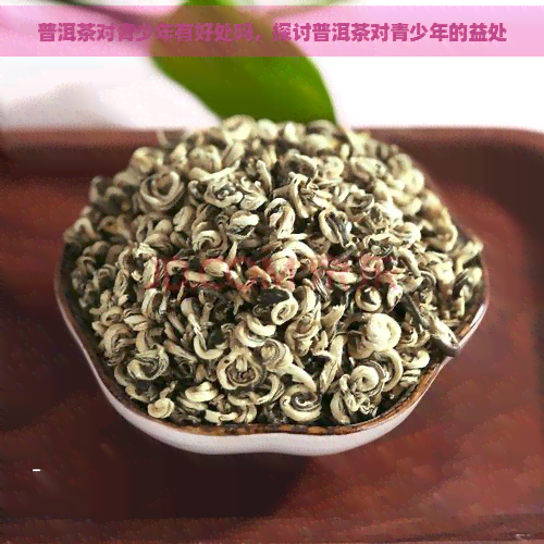 普洱茶对青少年有好处吗，探讨普洱茶对青少年的益处