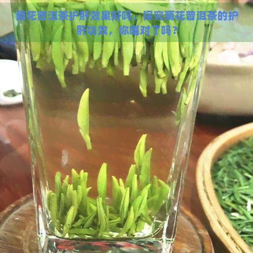 菊花普洱茶护肝效果好吗，探究菊花普洱茶的护肝功效，你喝对了吗？