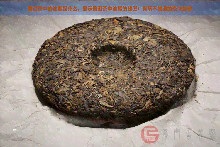 普洱茶中的油脂是什么，揭示普洱茶中油脂的秘密：你所不知道的茶叶知识