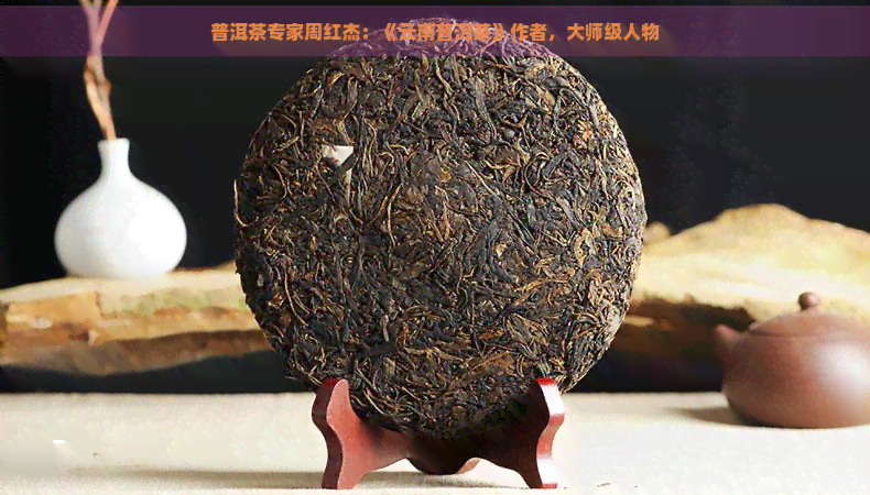 普洱茶专家周红杰：《云南普洱茶》作者，大师级人物