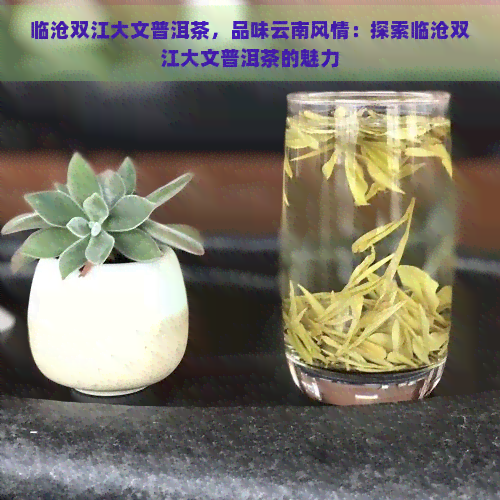 临沧双江大文普洱茶，品味云南风情：探索临沧双江大文普洱茶的魅力