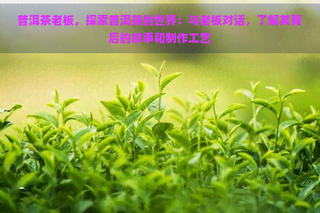 普洱茶老板，探索普洱茶的世界：与老板对话，了解其背后的故事和制作工艺