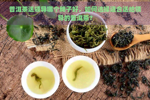 普洱茶送领导哪个牌子好，如何选择适合送给领导的普洱茶？