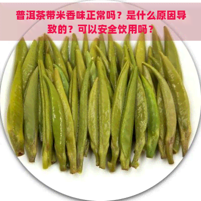 普洱茶带米香味正常吗？是什么原因导致的？可以安全饮用吗？