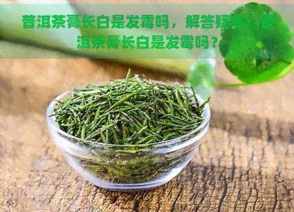 普洱茶膏长白是发霉吗，解答疑惑：普洱茶膏长白是发霉吗？