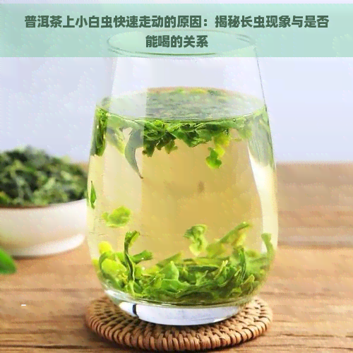 普洱茶上小白虫快速走动的原因：揭秘长虫现象与是否能喝的关系