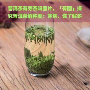 普洱茶有芽茶吗图片，「有图」探究普洱茶的种类：芽茶，你了解多少？