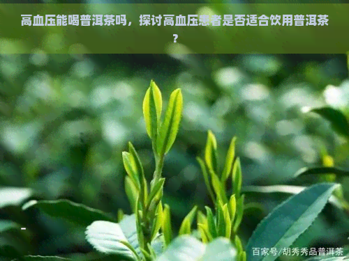 高血压能喝普洱茶吗，探讨高血压患者是否适合饮用普洱茶？