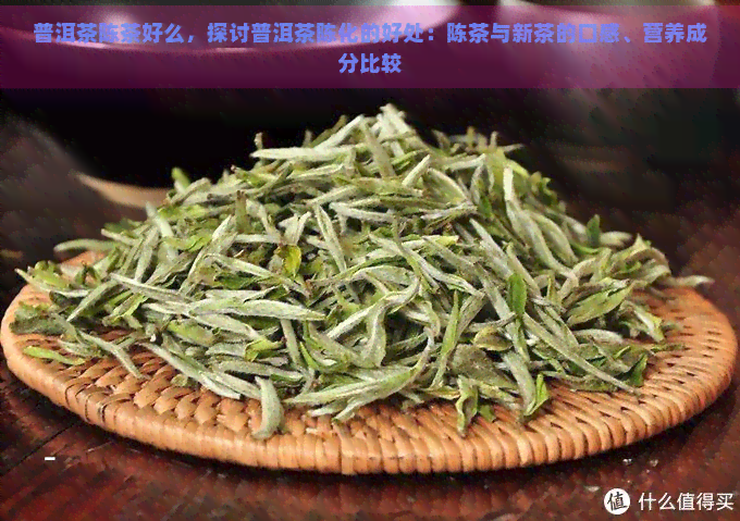 普洱茶陈茶好么，探讨普洱茶陈化的好处：陈茶与新茶的口感、营养成分比较