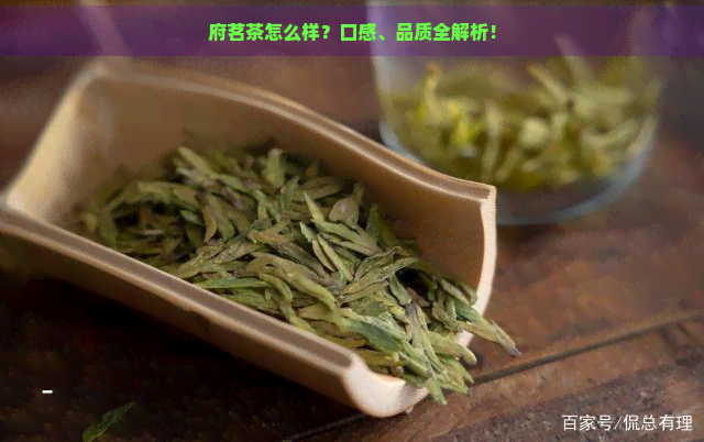 府茗茶怎么样？口感、品质全解析！