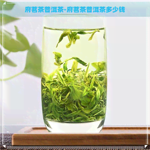 府茗茶普洱茶-府茗茶普洱茶多少钱