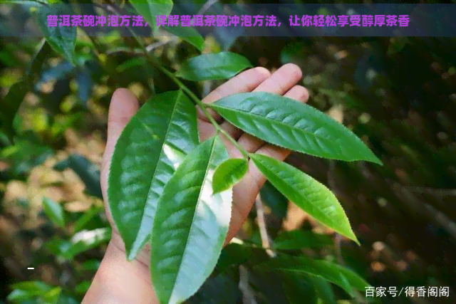 普洱茶碗冲泡方法，详解普洱茶碗冲泡方法，让你轻松享受醇厚茶香