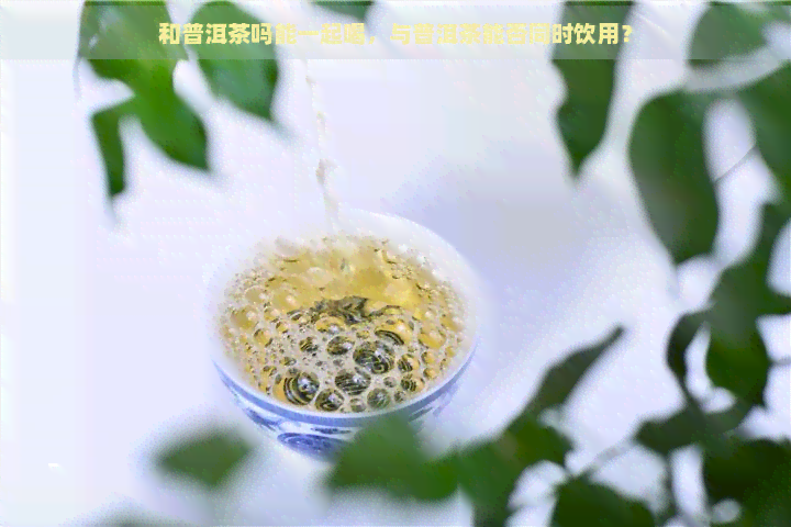 和普洱茶吗能一起喝，与普洱茶能否同时饮用？