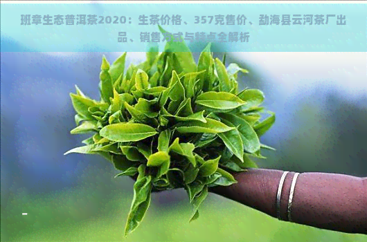 班章生态普洱茶2020：生茶价格、357克售价、勐海县云河茶厂出品、销售方式与特点全解析