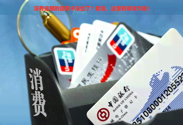 没有逾期的信用卡冻结了？别急，这里有解决方案！