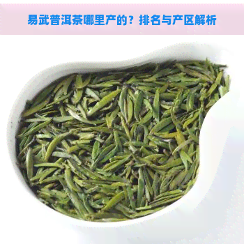 易武普洱茶哪里产的？排名与产区解析