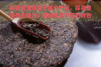 易武普洱茶属于哪个产区，探寻普洱茶的魅力：揭秘易武产区的特色与韵味