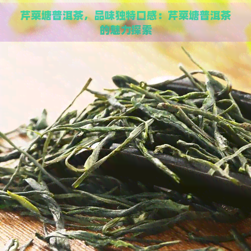 芹菜塘普洱茶，品味独特口感：芹菜塘普洱茶的魅力探索