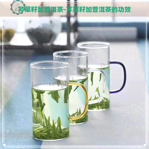 芹菜籽加普洱茶-芹菜籽加普洱茶的功效