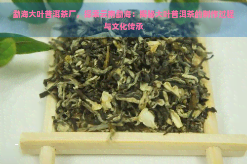 勐海大叶普洱茶厂，探索云南勐海：揭秘大叶普洱茶的制作过程与文化传承