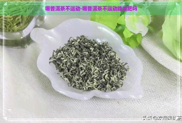 喝普洱茶不运动-喝普洱茶不运动能减肥吗