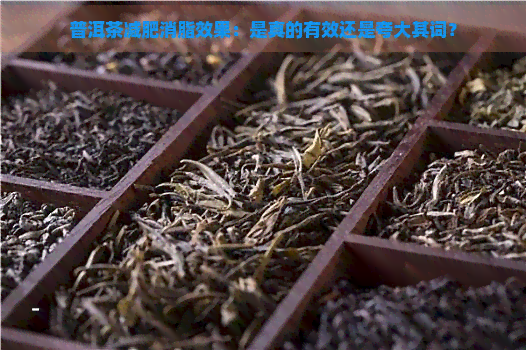 普洱茶减肥消脂效果：是真的有效还是夸大其词？