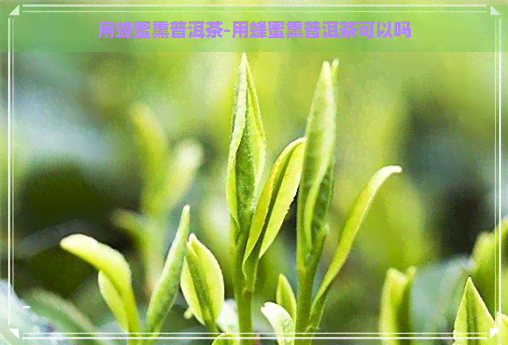 用蜂蜜熏普洱茶-用蜂蜜熏普洱茶可以吗