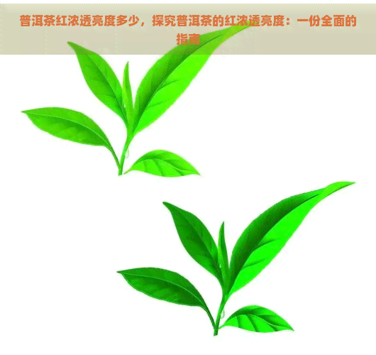 普洱茶红浓透亮度多少，探究普洱茶的红浓透亮度：一份全面的指南