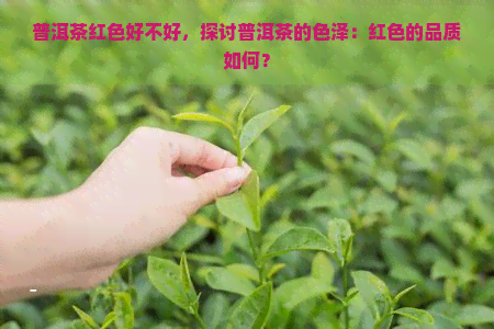 普洱茶红色好不好，探讨普洱茶的色泽：红色的品质如何？