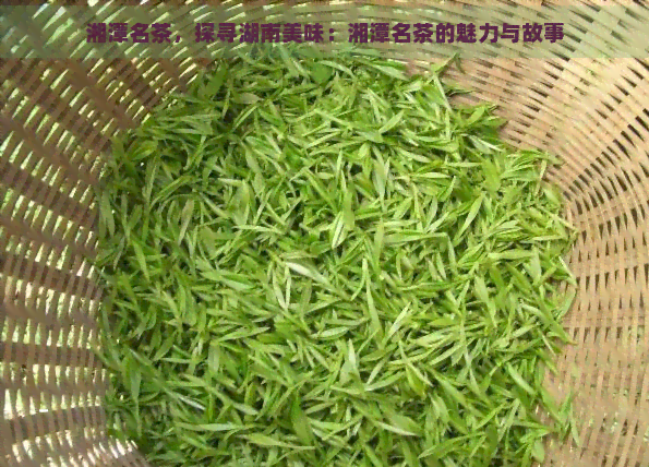 湘潭名茶，探寻湖南美味：湘潭名茶的魅力与故事