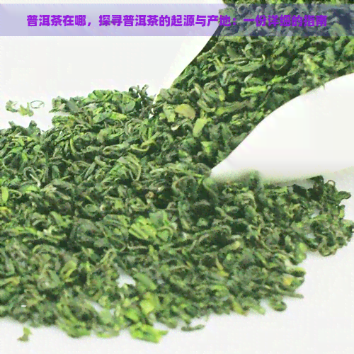 普洱茶在哪，探寻普洱茶的起源与产地：一份详细的指南