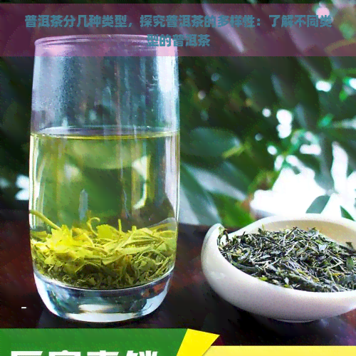 普洱茶分几种类型，探究普洱茶的多样性：了解不同类型的普洱茶