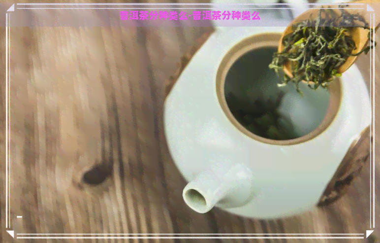 普洱茶分种类么-普洱茶分种类么