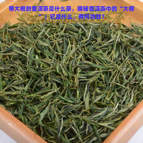 带大根的普洱茶是什么茶，揭秘普洱茶中的“大根”：它是什么，有何功效？