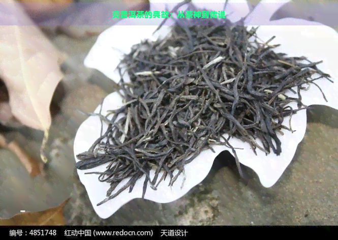 亮普洱茶的典故：从茶神到传说