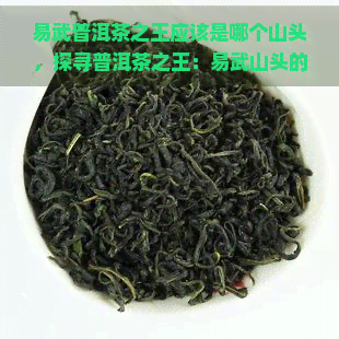 易武普洱茶之王应该是哪个山头，探寻普洱茶之王：易武山头的越品质与独特魅力