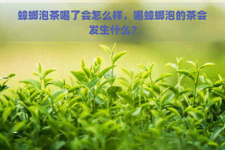 蟑螂泡茶喝了会怎么样，喝蟑螂泡的茶会发生什么？