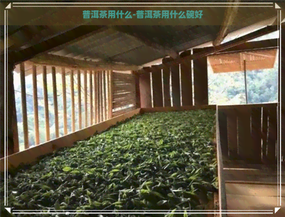 普洱茶用什么-普洱茶用什么碗好