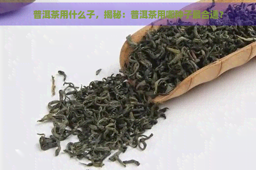 普洱茶用什么子，揭秘：普洱茶用哪种子最合适？