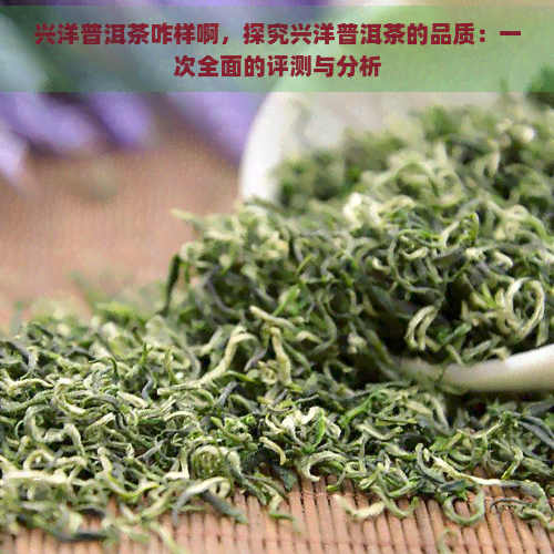 兴洋普洱茶咋样啊，探究兴洋普洱茶的品质：一次全面的评测与分析