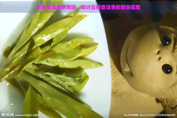 云南普洱茶耐泡吗，探讨云南普洱茶的耐泡程度