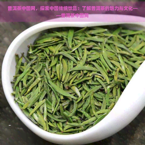 普洱茶中国网，探索中国传统饮品：了解普洱茶的魅力与文化——普洱茶中国网