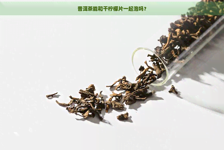 普洱茶能和干柠檬片一起泡吗？