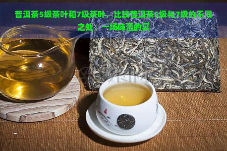 普洱茶5级茶叶和7级茶叶，比较普洱茶5级与7级的不同之处：一场味蕾的宴