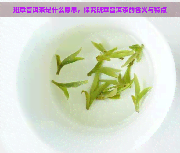 班章普洱茶是什么意思，探究班章普洱茶的含义与特点